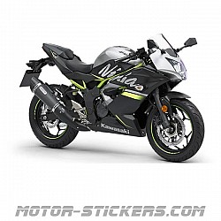 Kawasaki Ninja 125 2019