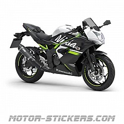 Kawasaki Ninja 125 2020