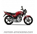 Yamaha YBR 125 2009 Yamaha YBR 125 2009