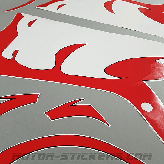 Aprilia RSV 1000R 2005