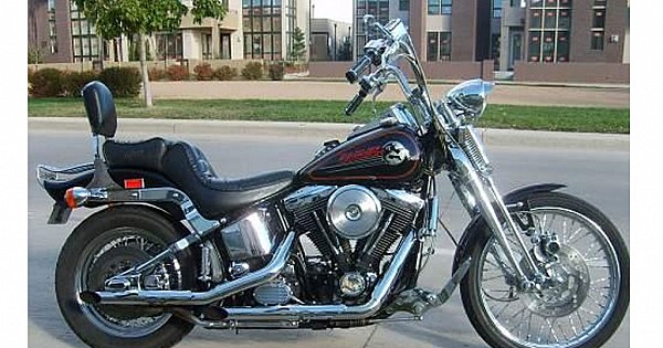 1994 springer online softail