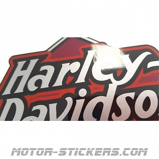 Harley Davidson FXSTB Night Train 2002 decals