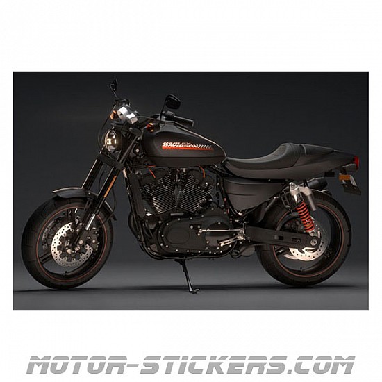 Harley Davidson 1200X 2010 pegatinas