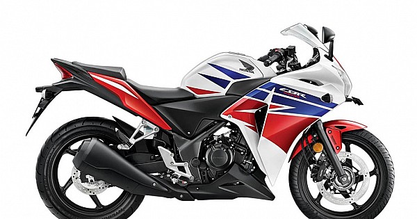 Box jellyfish visual data 7