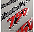 Honda XRV 750 Africa Twin 1996