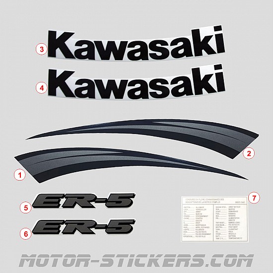 Kawasaki ER-5 2003-2004