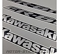 Kawasaki ER-6N 2008