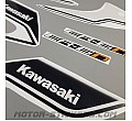 Kawasaki ER-6N 2016