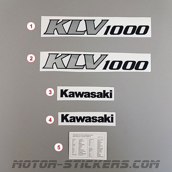 Kawasaki KLV 1000 2004