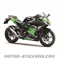 Motor cheap ninja 300
