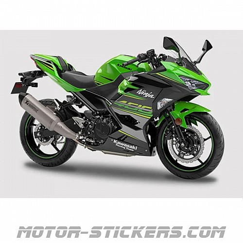 Kawasaki Ninja Outlined Decals – Glossy Black/Green, Helmet Motorcycle Stickers, 2x