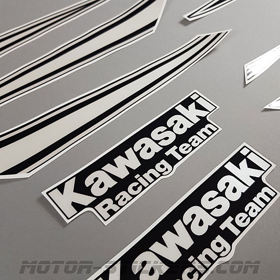 Kawasaki ZX-10RR 2018