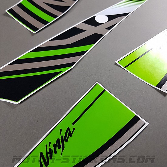 Kawasaki ZX-10R 2017