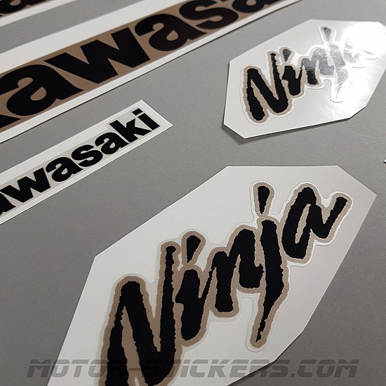 Kawasaki ZX-10R 2017