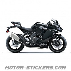 Kawasaki ZX-4R 2024