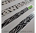 Kawasaki ZX-6R 2019