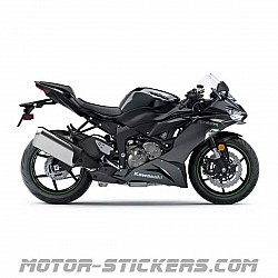 Kawasaki ZX-6R 2019