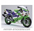 Kawasaki ZX-9R 1995 Kawasaki ZX-9R 1995