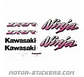 Kawasaki ZX-9R 1995 Kawasaki ZX-9R 1995