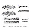 Kawasaki ZX-9R 98-1999 Kawasaki ZX-9R 98-1999