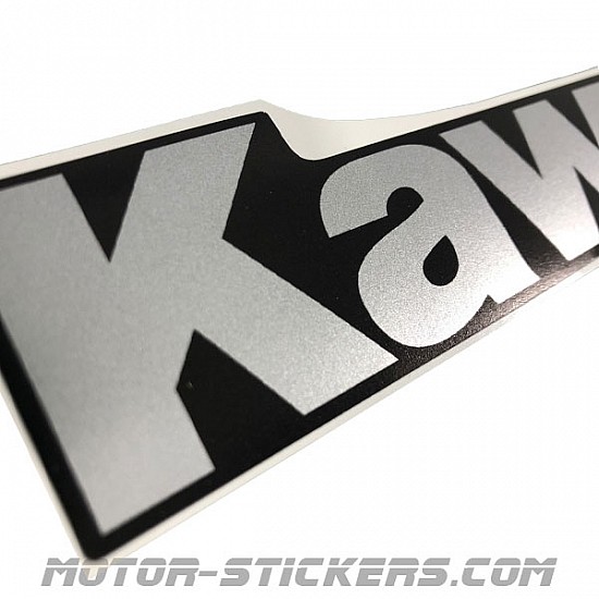 Kawasaki ZX-9R 98-1999 Kawasaki ZX-9R 98-1999