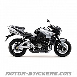 Suzuki GSX1300 B-King 2008