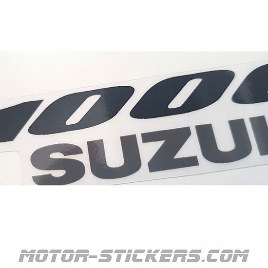 Suzuki DL 1000 V-Strom 2004 Suzuki DL 1000 V-Strom 2004