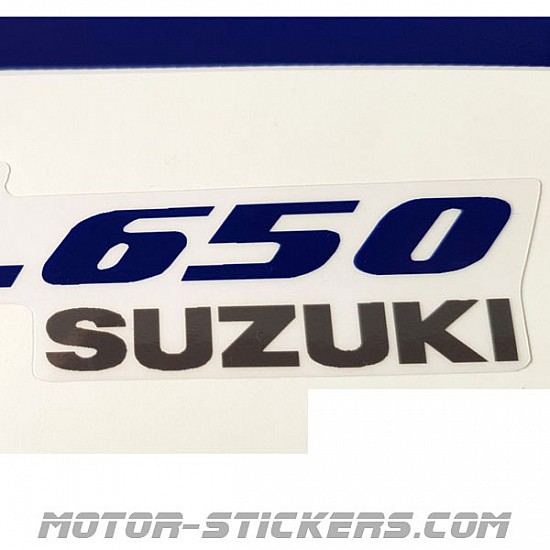 Suzuki DL 650 V-Strom 2006 Suzuki DL 650 V-Strom 2006