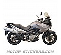 Suzuki DL 650 V-Strom 2008 Suzuki DL 650 V-Strom 2008