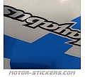 Suzuki GSX 1300R Hayabusa 2000 Suzuki GSX 1300R Hayabusa 2000