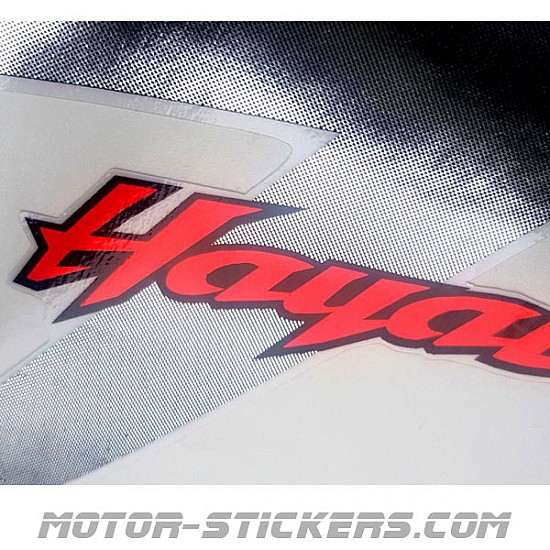 Suzuki GSX 1300R Hayabusa 05-2006 Suzuki GSX 1300R Hayabusa 05-2006