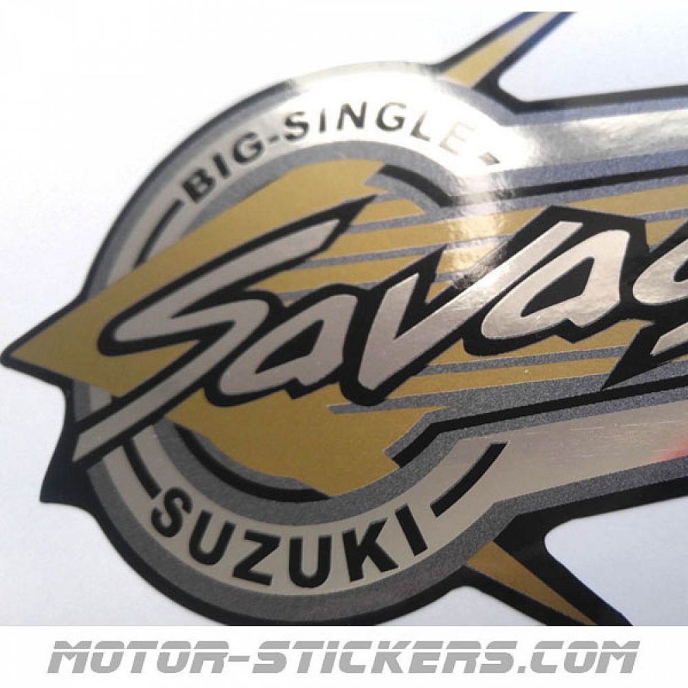 Suzuki LS 650 Savage 