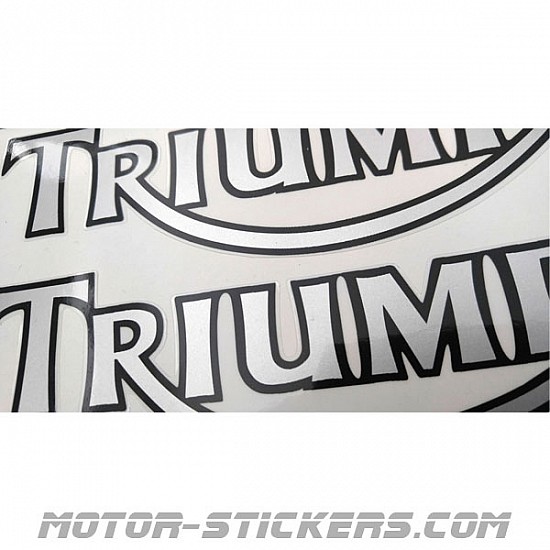 TRIUMPH SPRINT ST 1050  10 Year Cast Vinyl Decals Stickers x 2 ANY 2 COLOUR