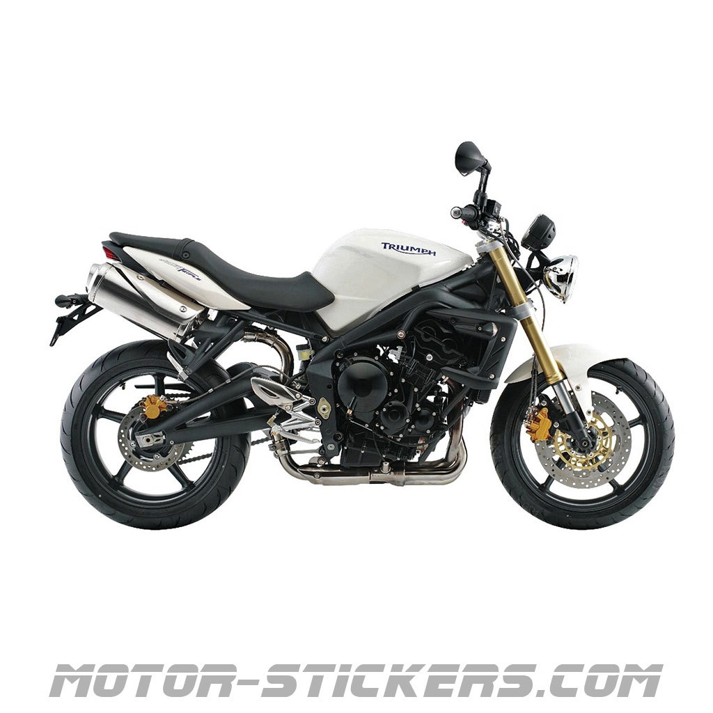 Triumph street triple 675 2009 cheap