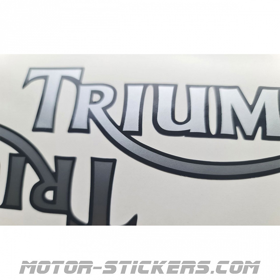 Personalize TRIUMPH SPRINT RS 955 with Stylish Rim Stickers