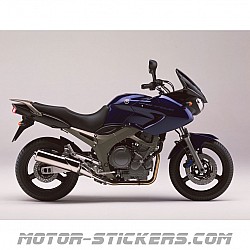 Yamaha TDM 900 2004