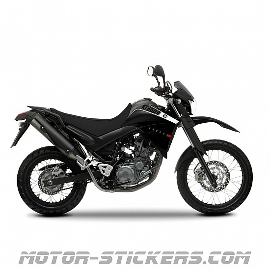 Yamaha XT 660R 2010