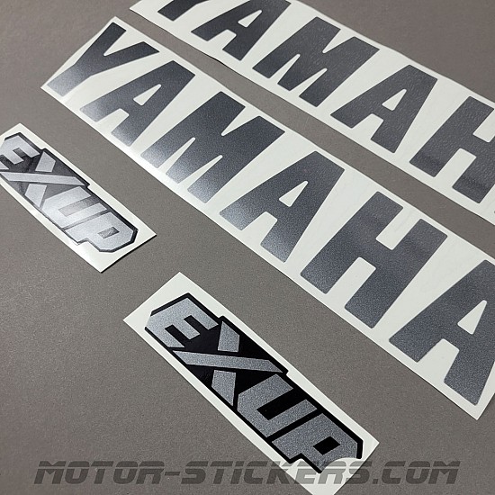 Yamaha YZF 1000R Thunderace 2000
