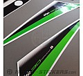 Kawasaki Ninja 300 2015
