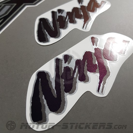 Kawasaki ZX-12R 2001