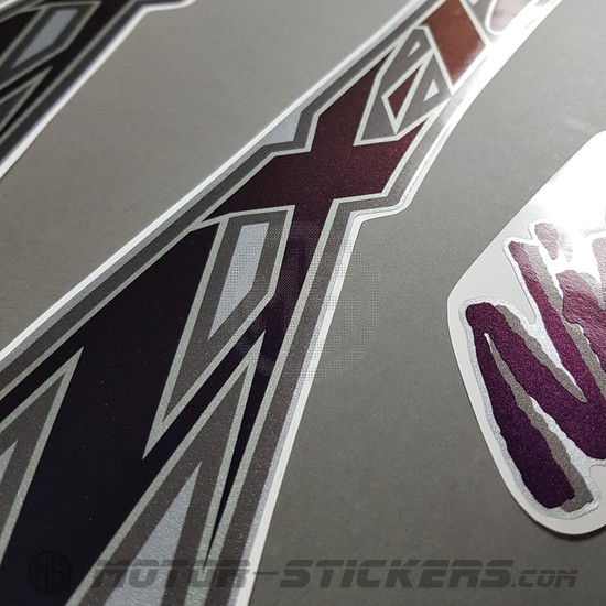 Kawasaki ZX-12R 2001