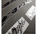 Kawasaki ZX-12R 2004-2005
