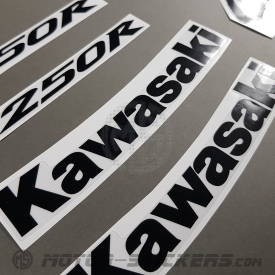 Kawasaki Ninja 250R 2008-2009