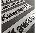 Kawasaki ZZR 1400 ZX-14 2009