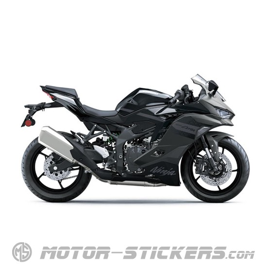 Kawasaki NINJA ZX-4RR 2026
