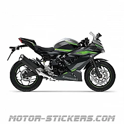 Kawasaki Ninja 125 2024