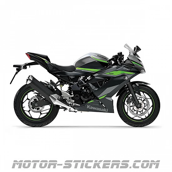 Kawasaki Ninja 125 2024