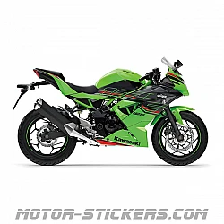 Kawasaki Ninja 125 2024