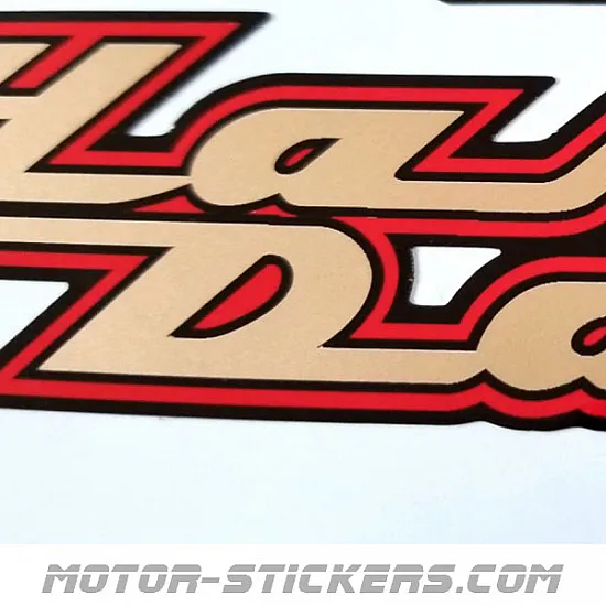 Harley Davidson Road King 2004