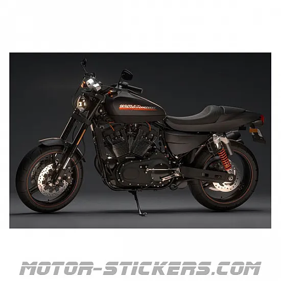 Harley Davidson XR 1200X 2010
